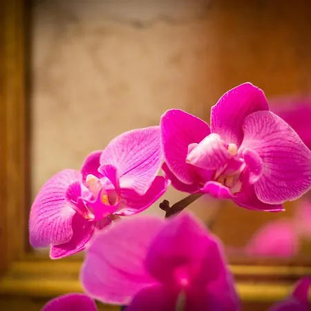 公寓 Helen's House